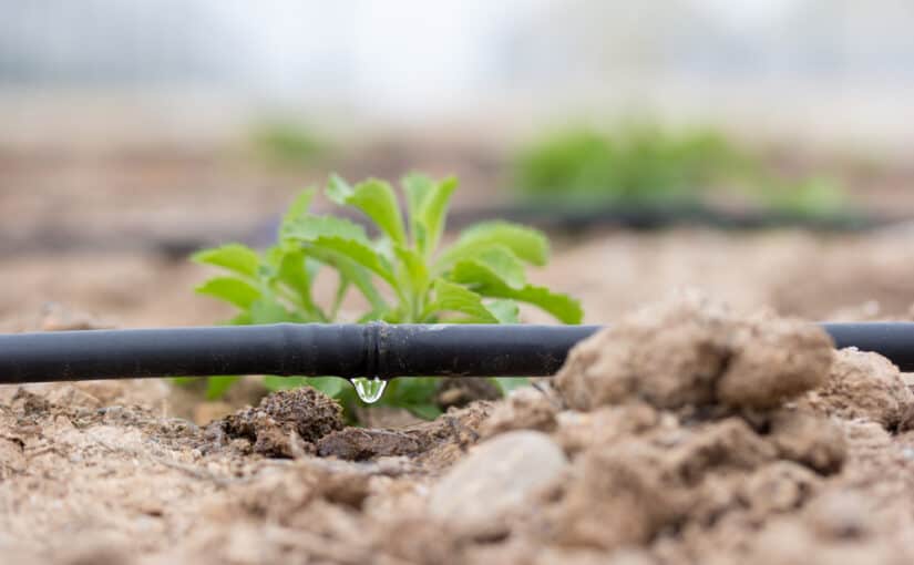 Drip Irrigation vs. Sprinkler Systems: Which is Best for Your Garden?