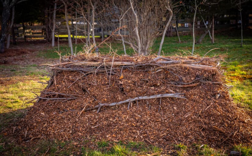Hügelkultur: Why This Gardening Method is Taking Root