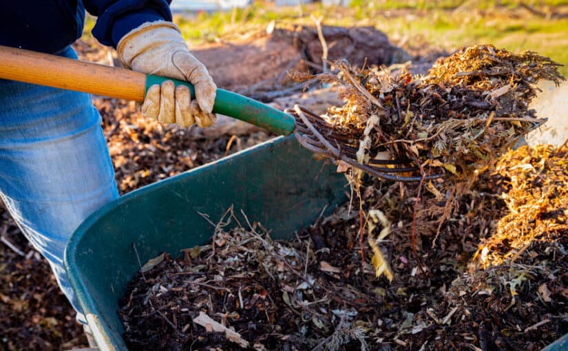 No-dig Gardening: What It Is and How to Do It