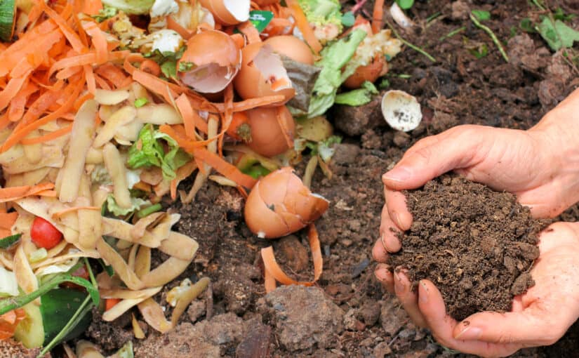 The Benefits of Organic Composting
