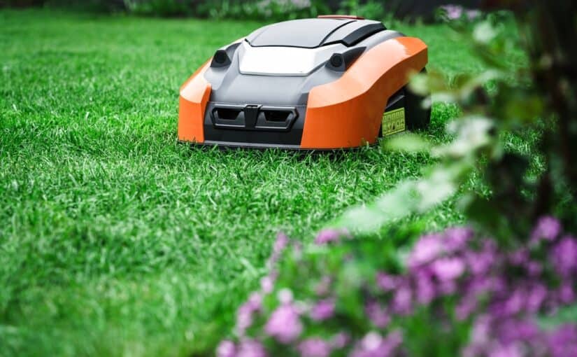 Robotic lawn mover on green grass
