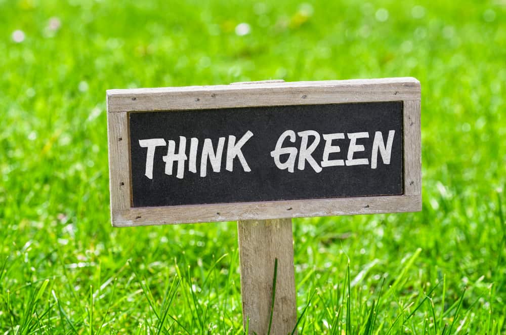 Sign with the text "Think Green" on a green lawn on a sunny day.