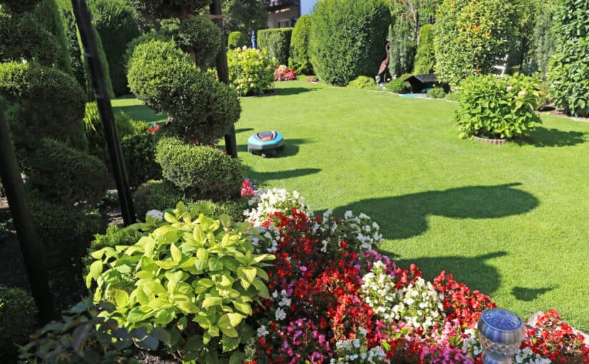 A very clean and tidy garden
