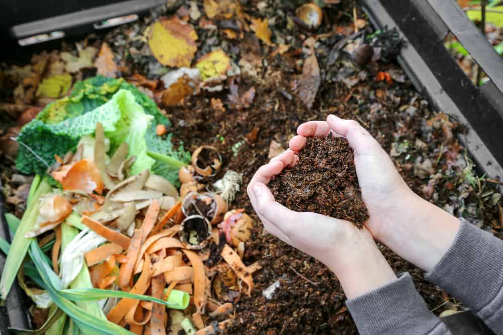 Woman hands holding compost above a container with organic waste - including vegetables.