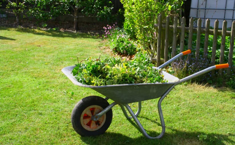 Filled wheelbarrow on a green lawn