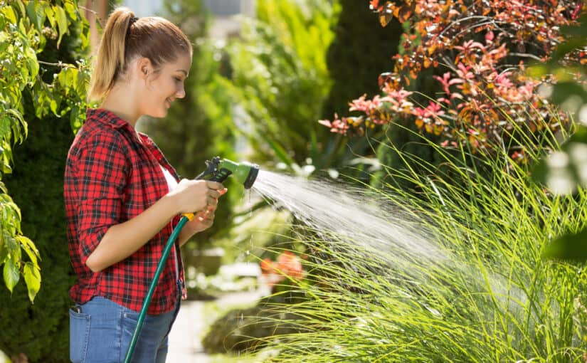 Woman watering garden plants with a hose