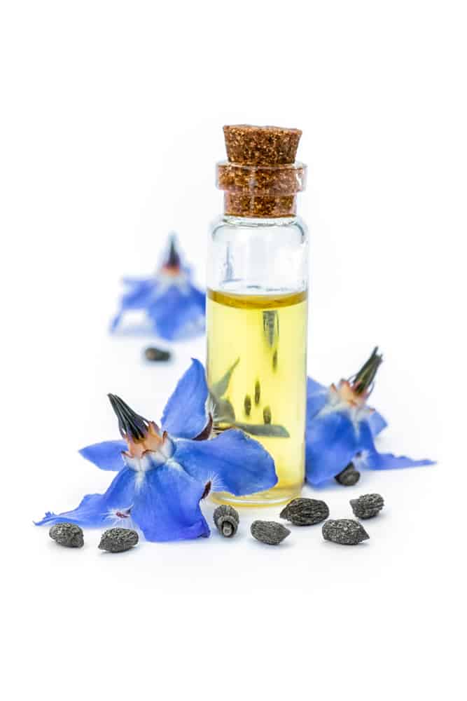 Flask of borage oil next to borage flowers and seeds on white background.