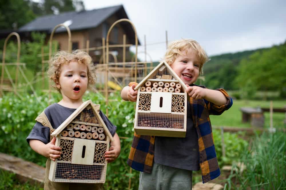 Two small boys holding bug and insect hotels in a garden.