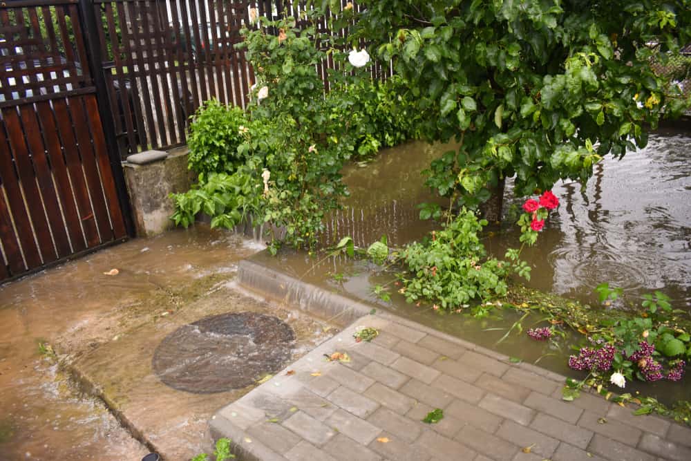 Big water floods in a garden after massive storm rain.