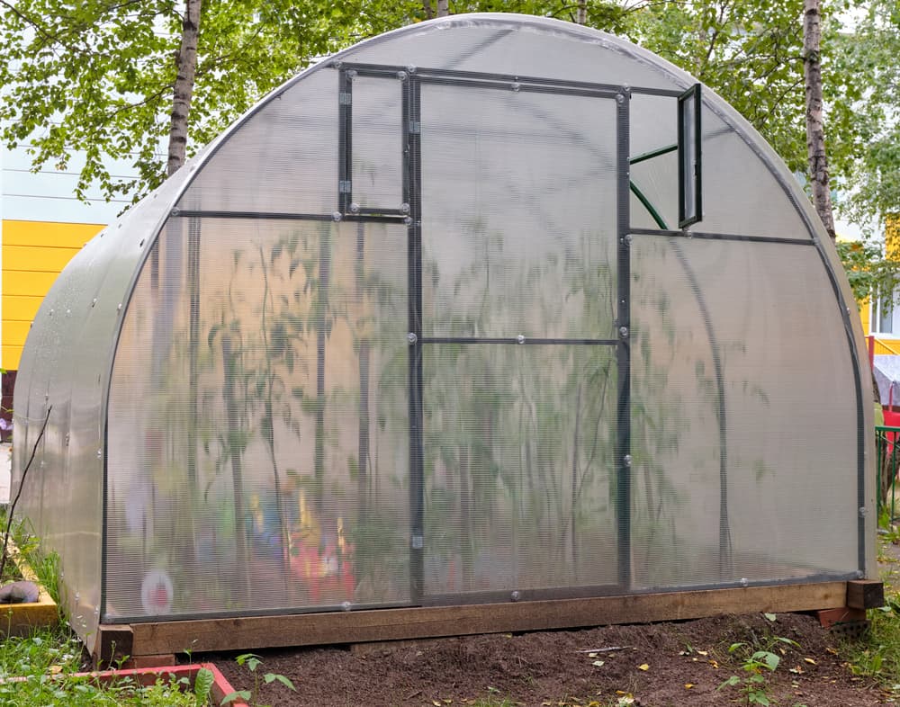 Greenhouse covered with polyethylene film.
