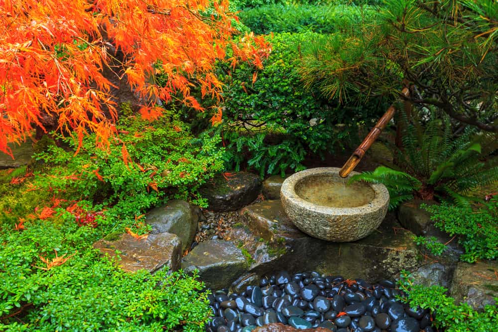 Japanese garden design with running water.