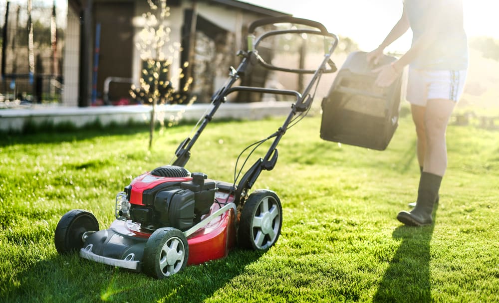 Man standing next to a lawn mover in a garden.