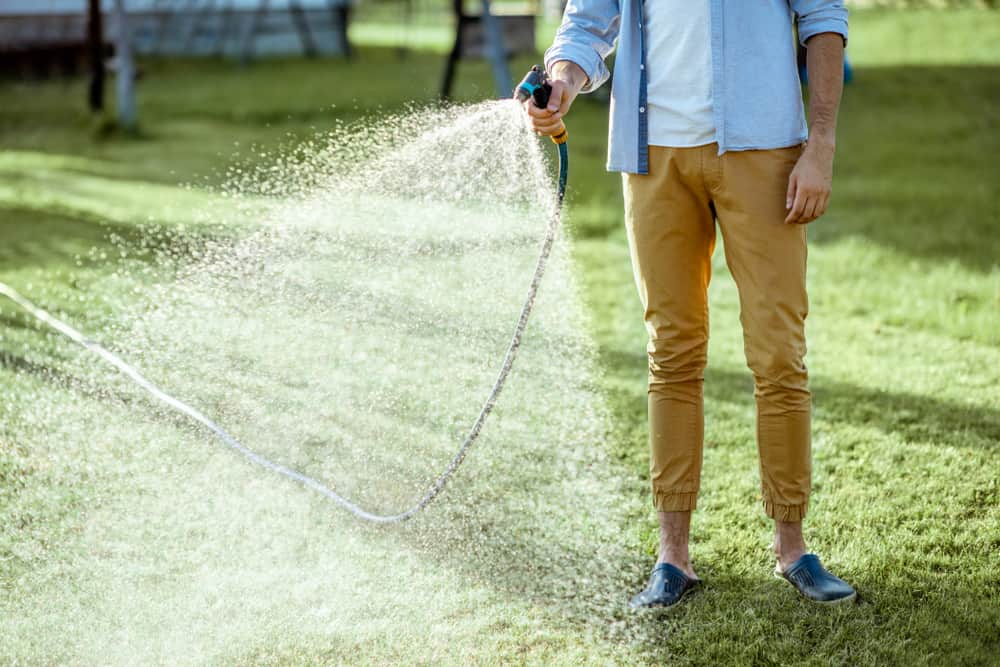 Man sprinkling water on the green lawn with a water pistol.