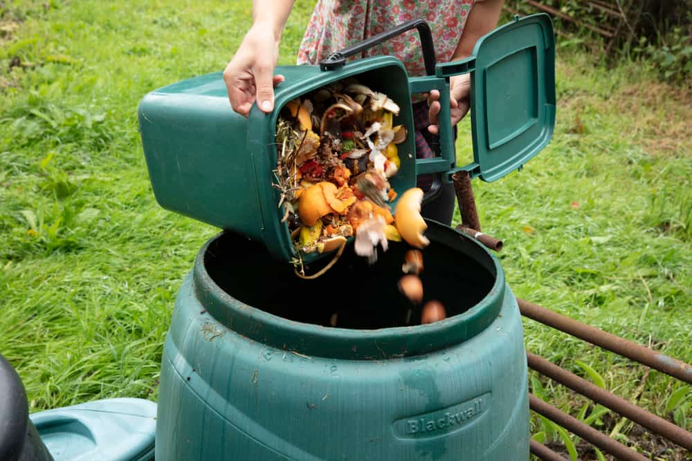 Woman pouring food waste in an outdoor standing bin.