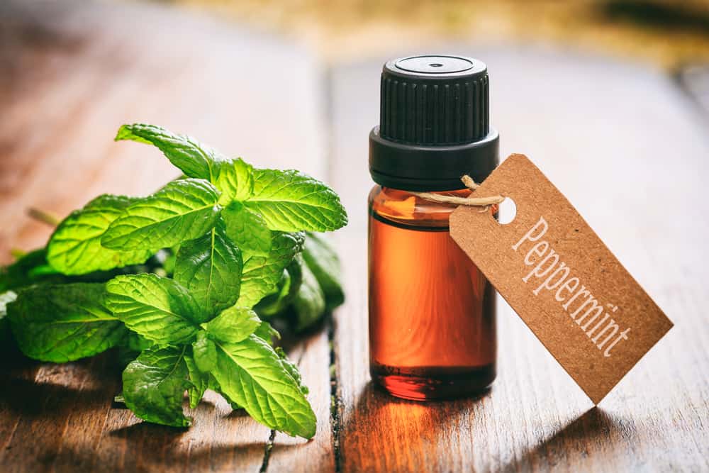 Flask of peppermint oil on a table. Tag with the text "Peppermint".