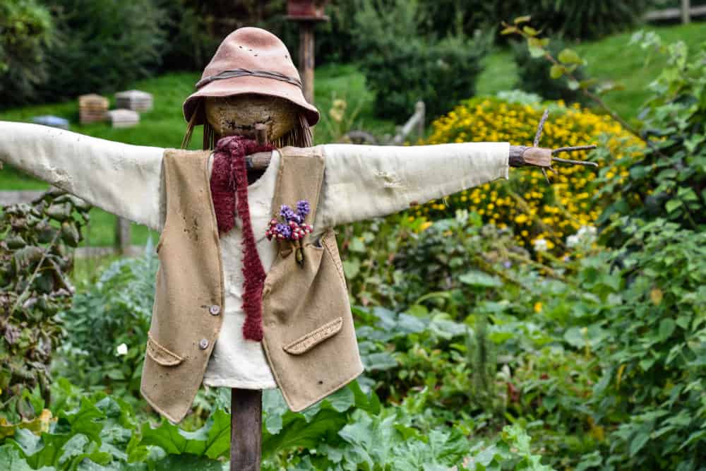 Scarecrow in a garden.