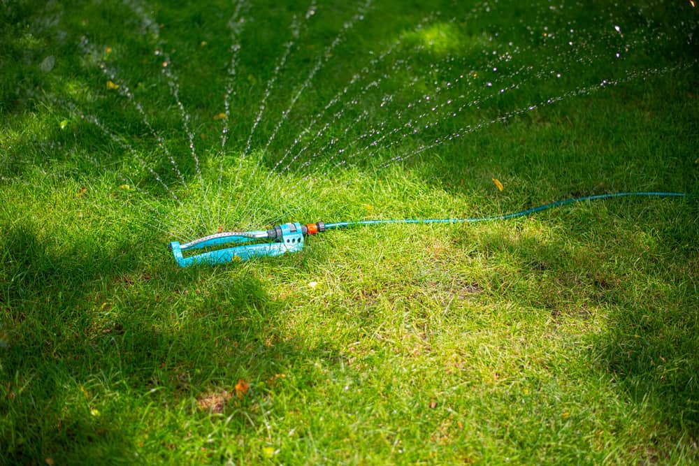 A sprinkler watering a green lawn.