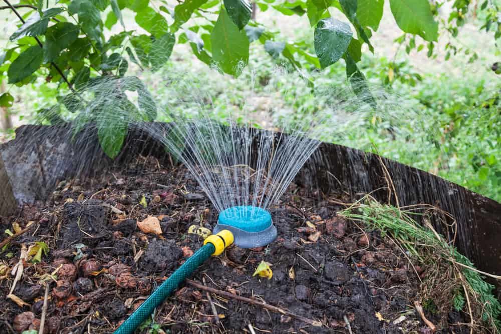 A sprinkler watering a compost.