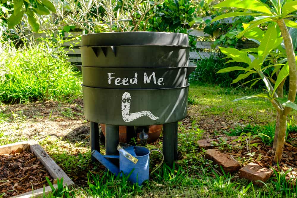 Green worm compost bin in a garden. Bin has a drawing of a worm and the text "Feed me".
